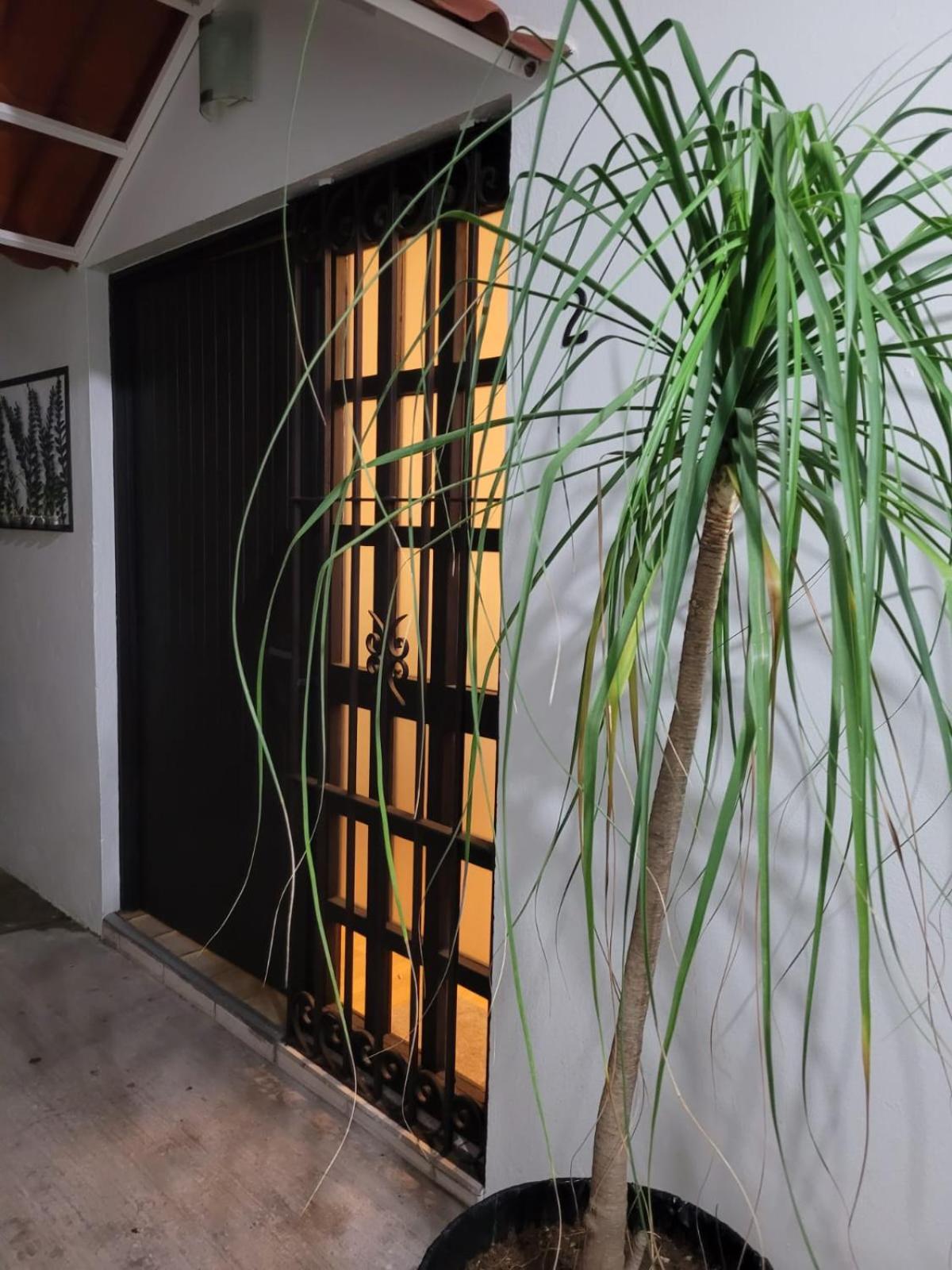 Apartamento Casa B & L Centrico Departamento Oaxaca Exterior foto